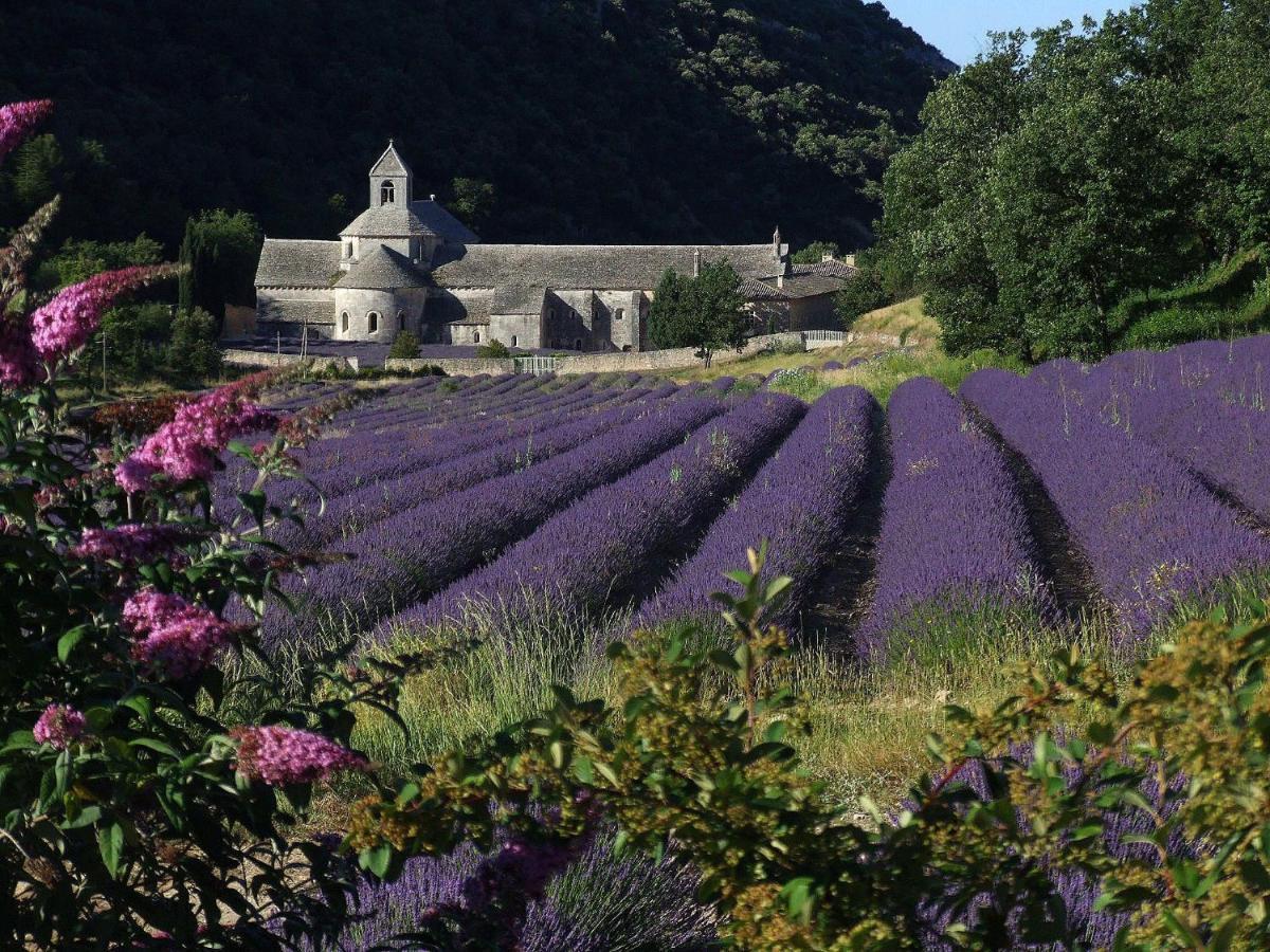 Les Cerises Panzió Saint-Saturnin-d'Apt Kültér fotó